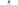 SMA
